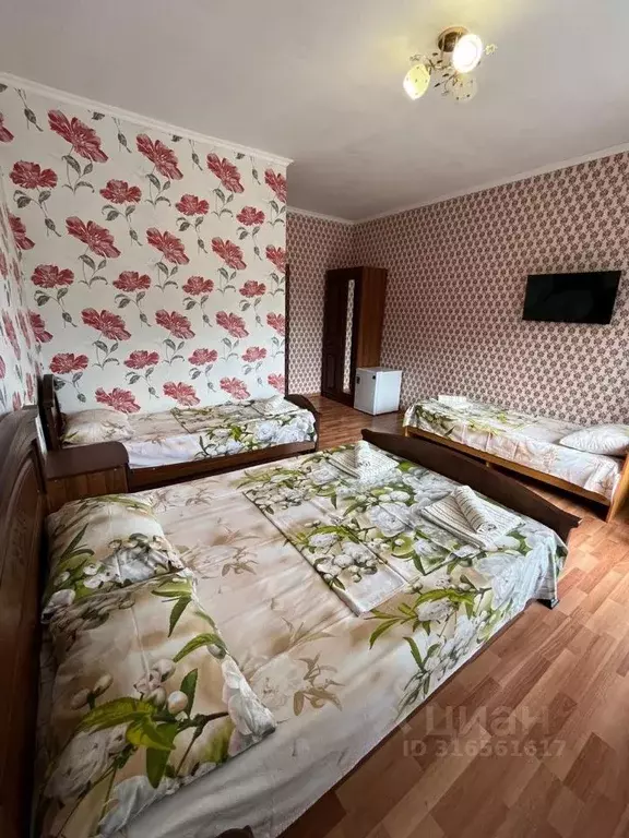 Комната Краснодарский край, Сочи Львовская ул., 1/55А (20.0 м) - Фото 1