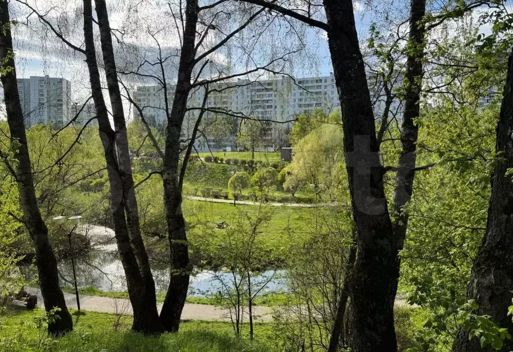 Квартира-студия, 16 м, 1/12 эт. - Фото 1