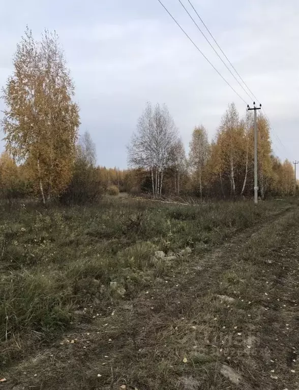 Участок в Свердловская область, Белоярский городской округ, с. ... - Фото 1