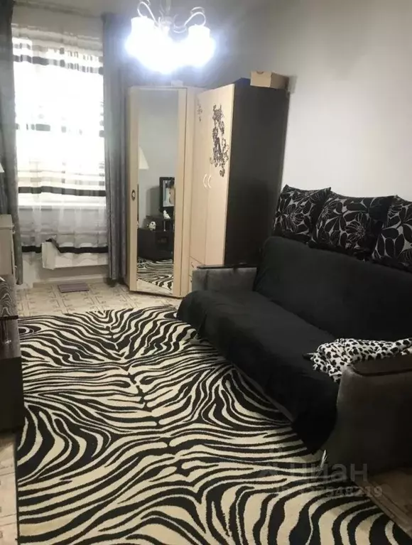 Студия Красноярский край, Красноярск ул. Вильского, 16 (27.0 м) - Фото 2