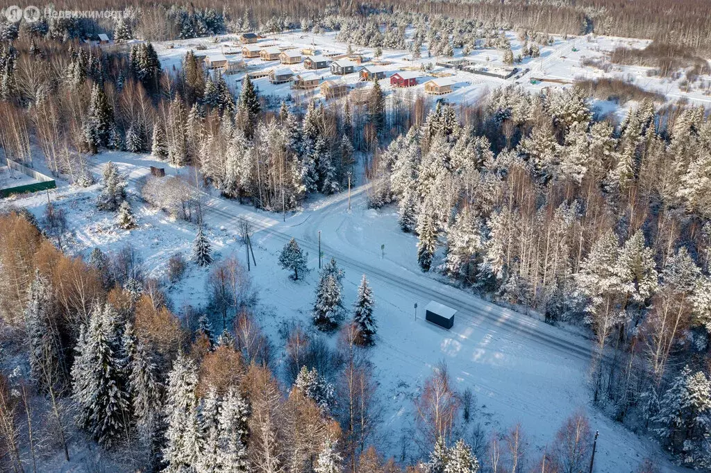 Участок в Завьяловский район, починок Мирный, Вербная улица, 4 (8 м) - Фото 2