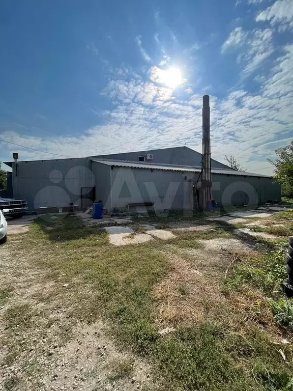 Сдам здание свободного назначения, 2750 м - Фото 0