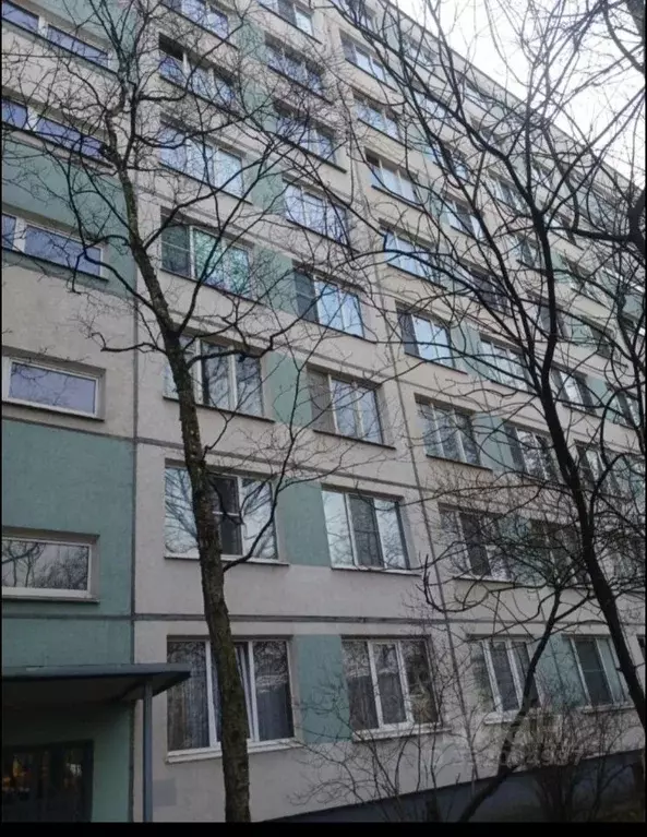 1-к кв. Санкт-Петербург Софийская ул., 46К1 (29.0 м) - Фото 1