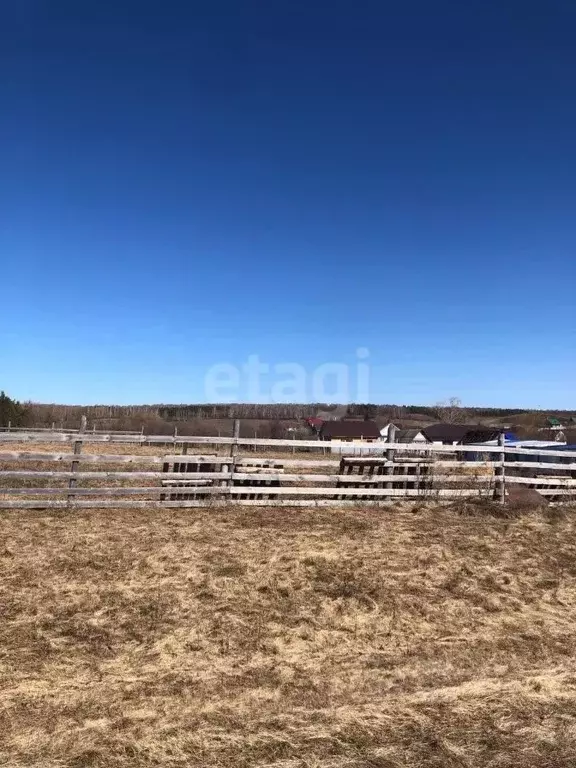 Участок в Башкортостан, Чишминский район, Алкинский сельсовет, с. ... - Фото 1