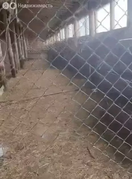 Участок в Бор, район Октябрьский, Комсомольская улица, 3 (2000 м) - Фото 1