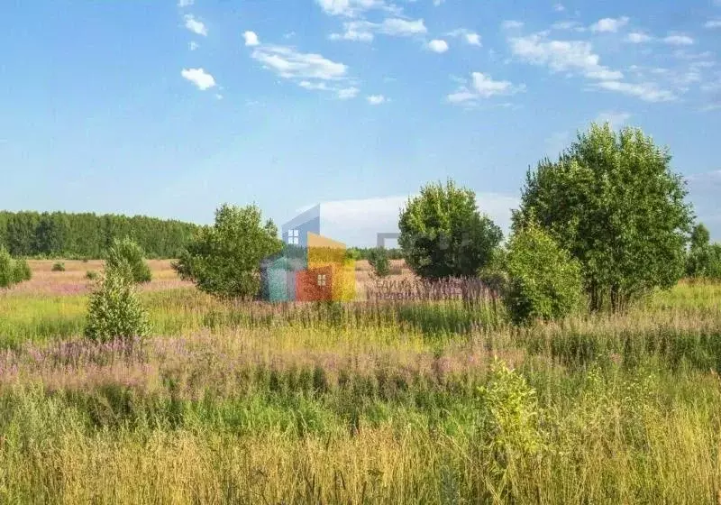 Участок в Тульская область, Тула городской округ, д. Хопилово, ... - Фото 1