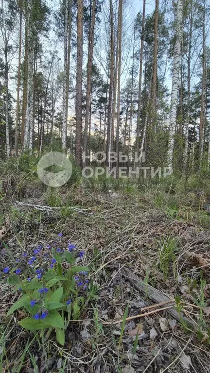 Участок 20 сот. (ИЖС) - Фото 0