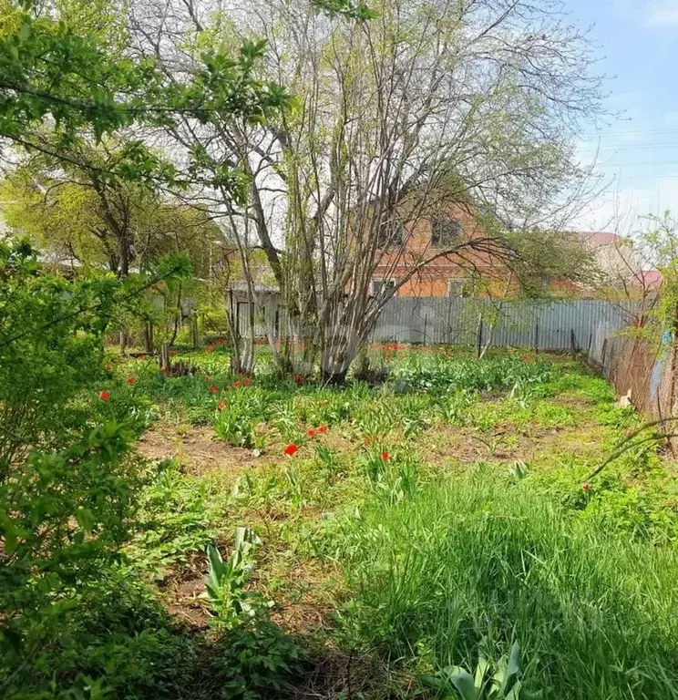 Дом в Краснодарский край, Краснодар 1 Мая ул., 427 (80 м) - Фото 1