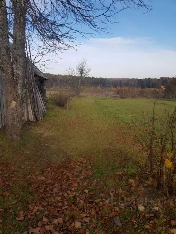 Участок в Вологодская область, д. Резвино  (20.0 сот.) - Фото 1