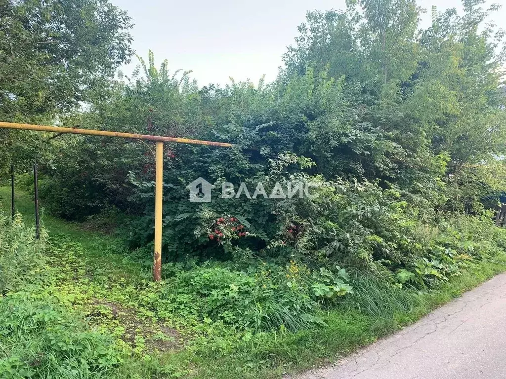 Участок в Нижегородская область, Нижний Новгород городской округ, д. ... - Фото 1