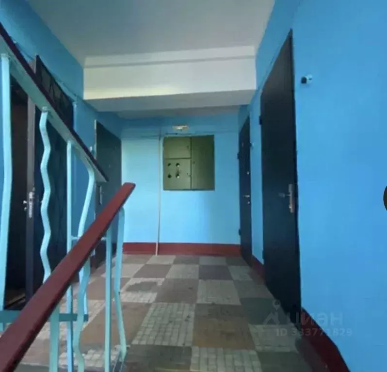 1-к кв. Московская область, Пушкинский городской округ, пос. ... - Фото 2