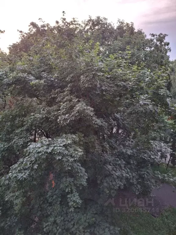 1-к кв. Курская область, Курск пер. Блинова, 7 (32.9 м) - Фото 0