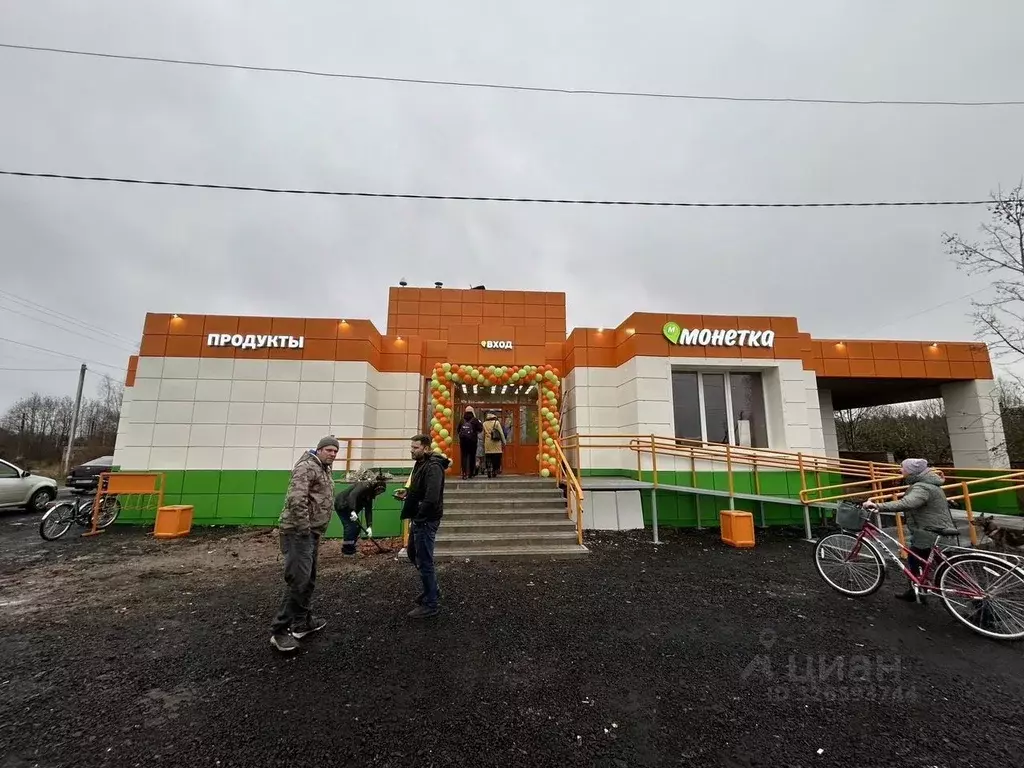 Помещение свободного назначения в Ленинградская область, Лужский ... - Фото 1