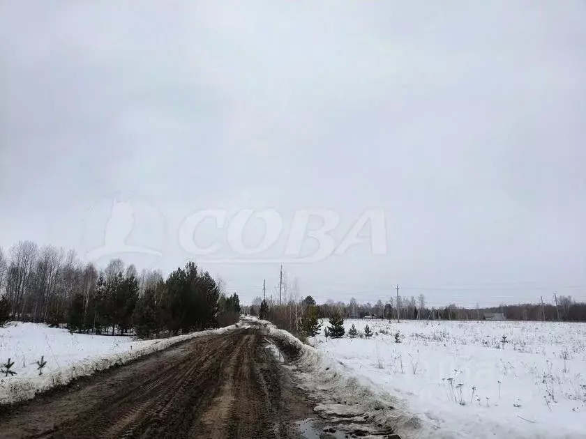 Участок в Тюменская область, Нижнетавдинский район, пос. Торгили  ... - Фото 1