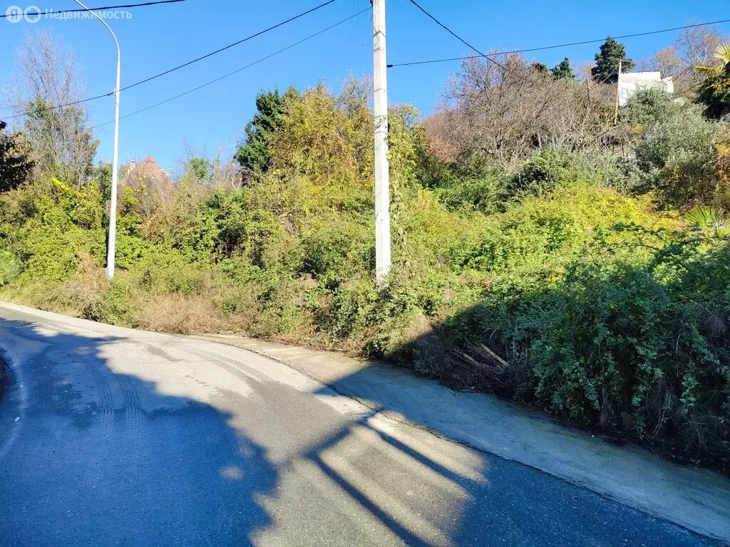 Участок в Хоста, улица Туренко (6 м) - Фото 1