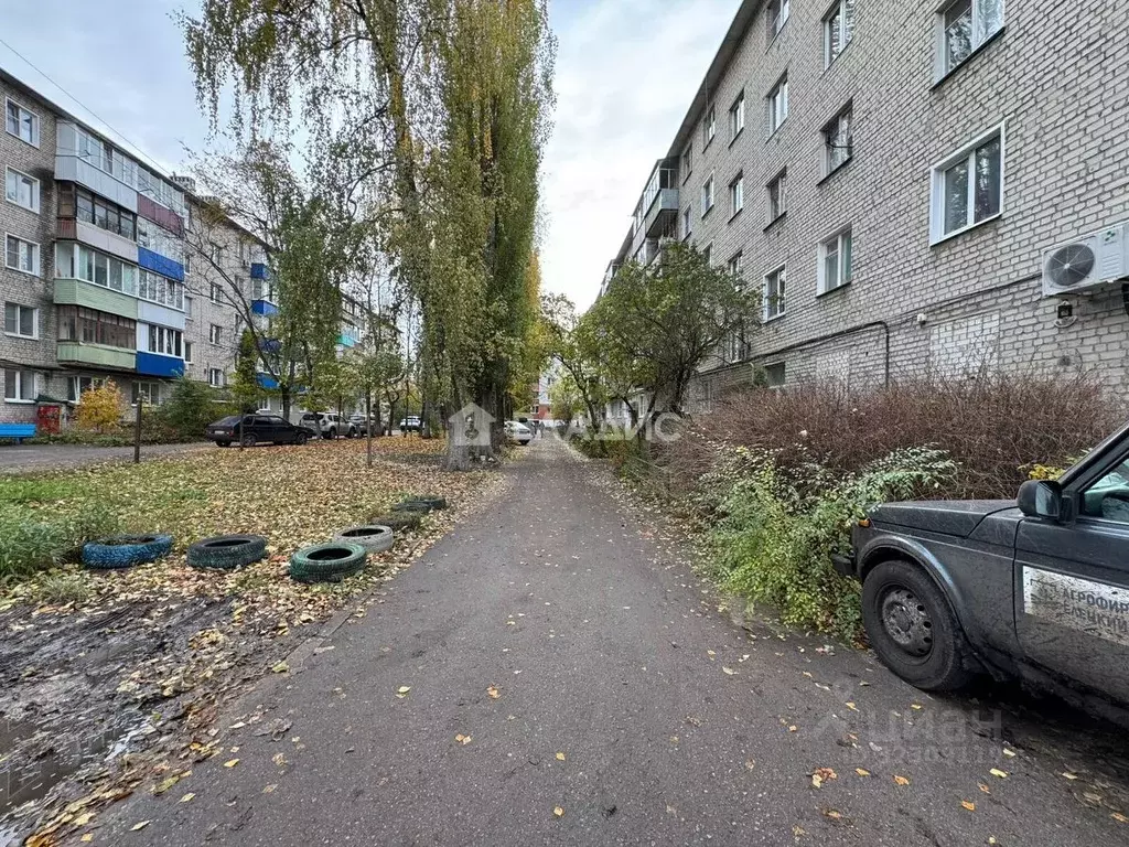 2-к кв. Липецкая область, Елец Клубная ул., 1Г (43.9 м) - Фото 1