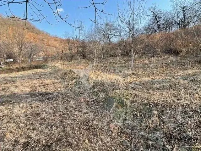 Дом в Приморский край, Партизанск  (24 м) - Фото 2