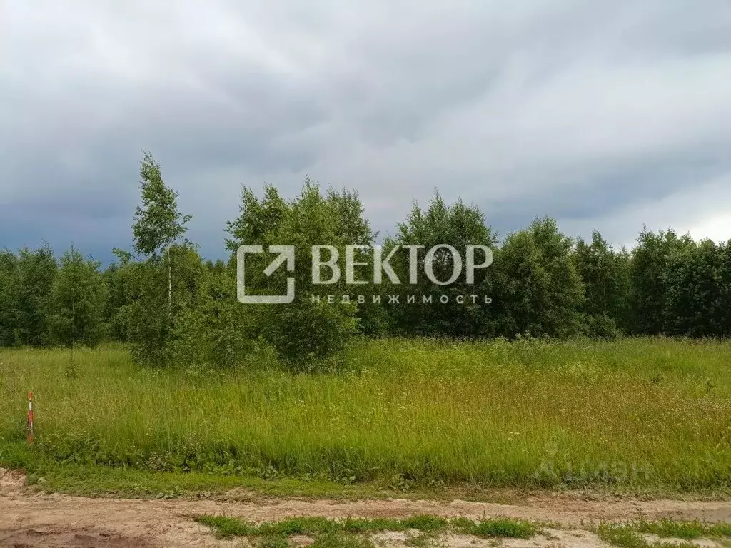 Участок в Ивановская область, Кинешемский район, Наволокское городское ... - Фото 2