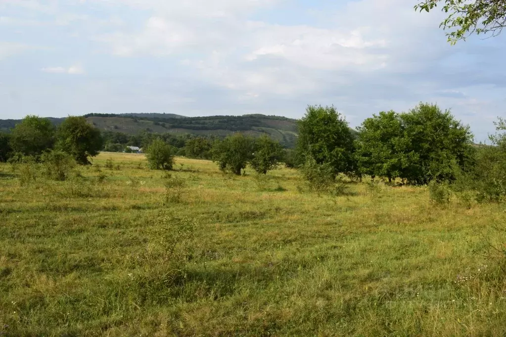 Участок в Краснодарский край, Мостовский район, Переправненское с/пос, ... - Фото 1