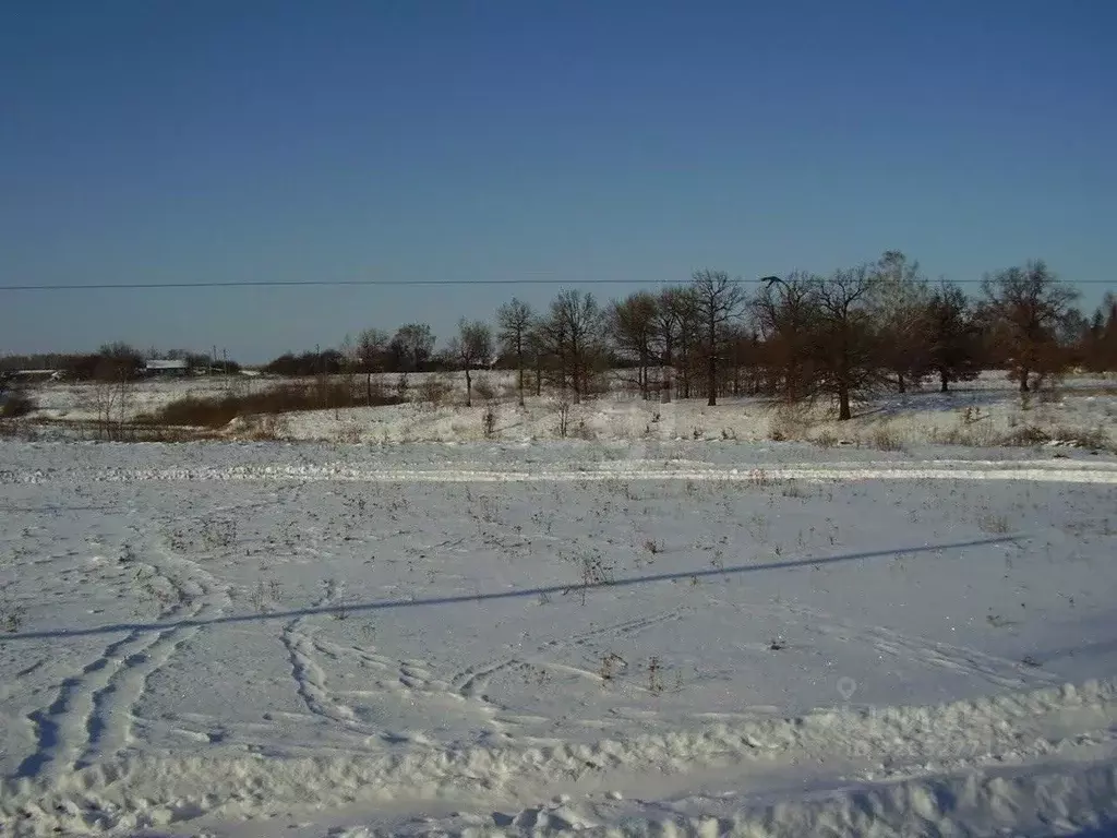 Участок в Липецкая область, Добровский муниципальный округ, с. ... - Фото 1