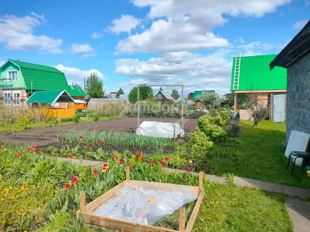 Дом в Новосибирская область, Новосибирск Буревестник садовое ... - Фото 0