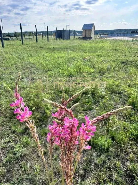 Участок в Саха (Якутия), Якутск Победа СОНТ, 128Д (10.0 сот.) - Фото 2