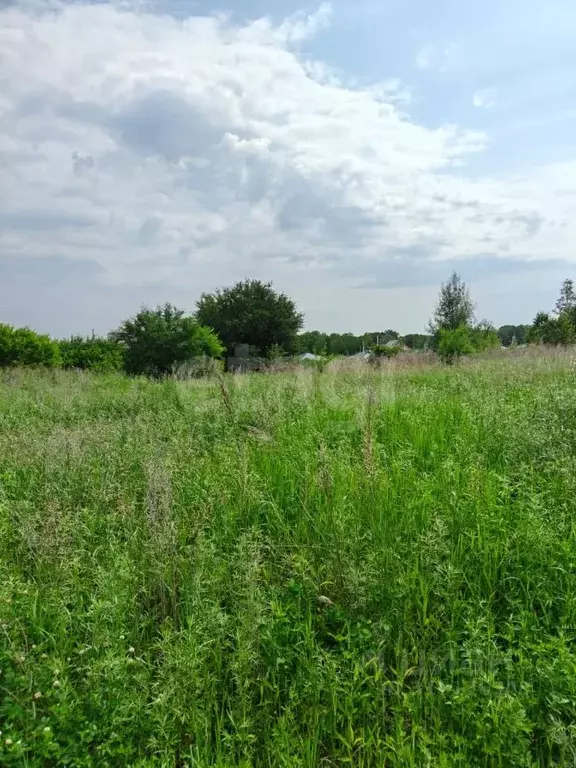 Участок в Амурская область, Благовещенский район, с. Волково  (30.0 ... - Фото 1