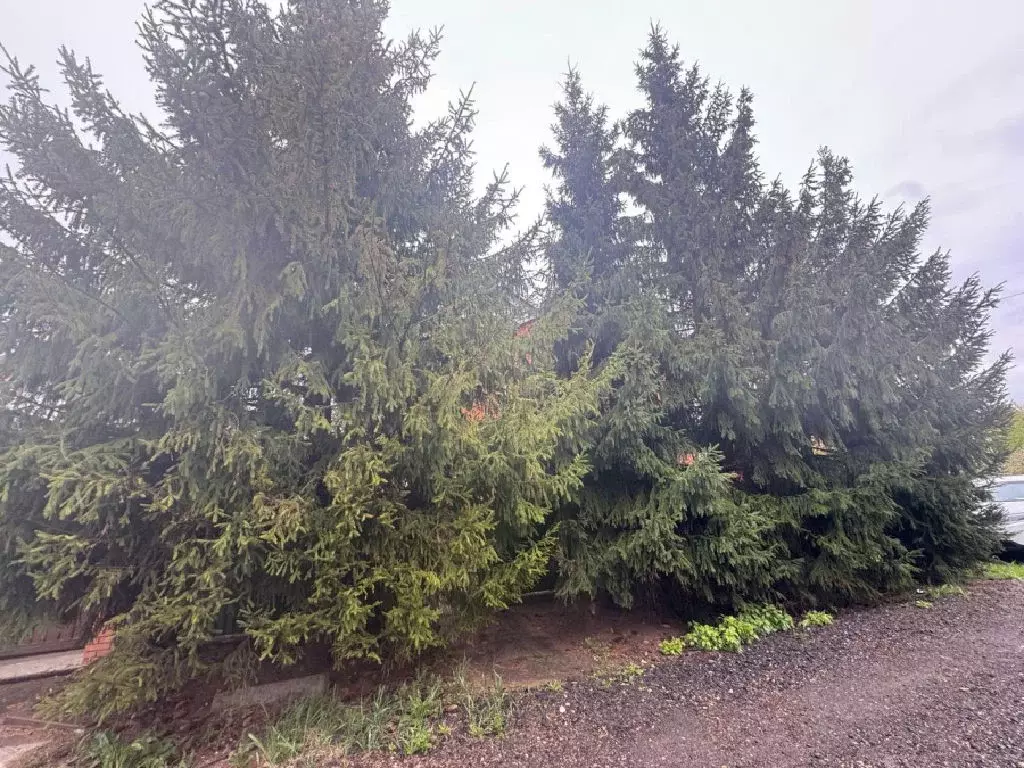 Продается участок в ДНП Люкс-Проект - Фото 1