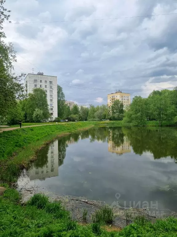 Комната Санкт-Петербург ул. Лени Голикова, 16 (18.0 м) - Фото 0