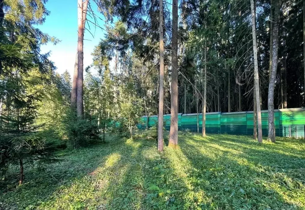 Участок в Московская область, Истра муниципальный округ, д. Чесноково, ... - Фото 2