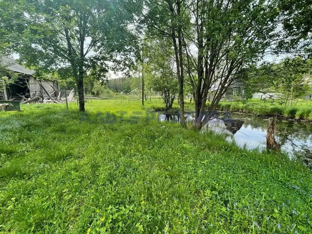 Участок в Ярославская область, Переславль-Залесский муниципальный ... - Фото 1