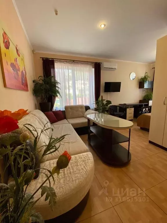 Студия Крым, Алушта ул. Горького, 6В (32.0 м) - Фото 1
