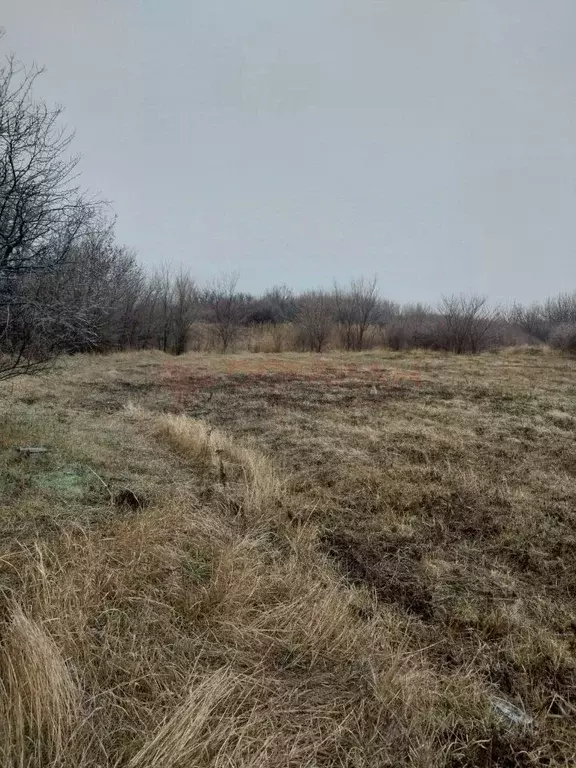 Участок в Ростовская область, Аксайский район, Грушевское с/пос, ... - Фото 2