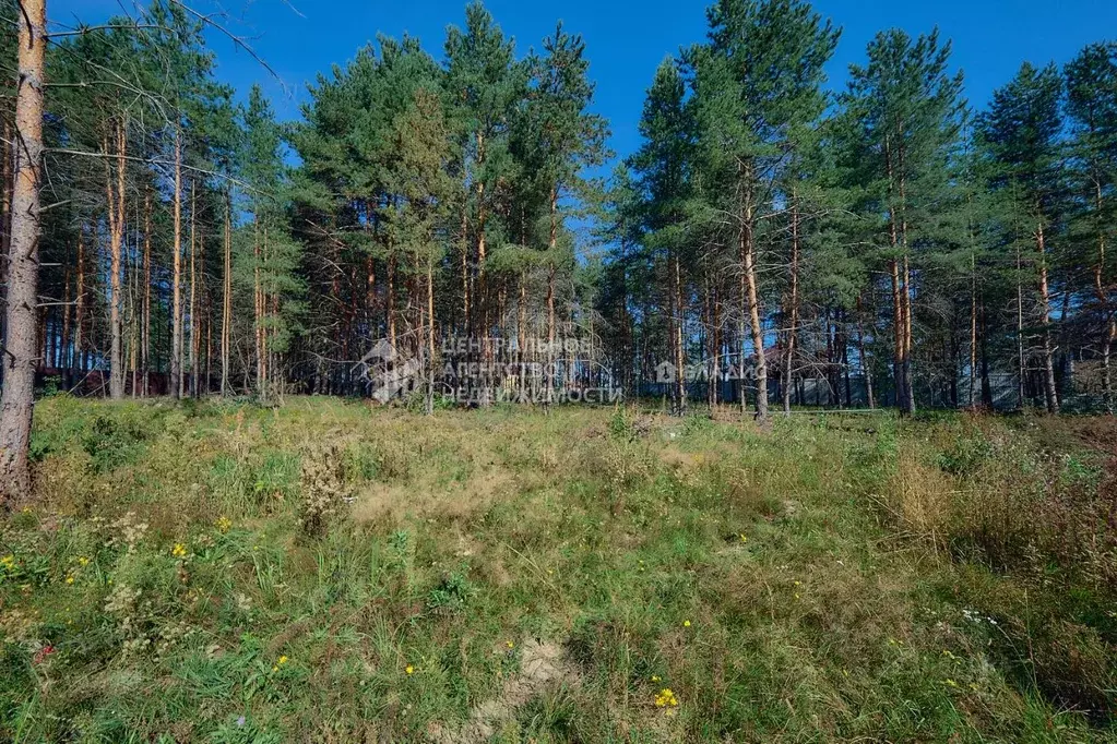 Участок в Рязанская область, Рязанский район, Дубровическое с/пос, с. ... - Фото 2