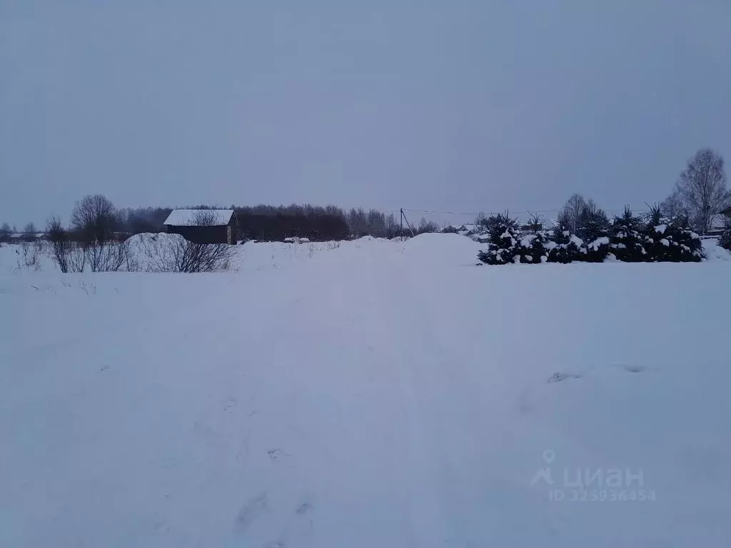 Участок в Вологодская область, Шекснинский муниципальный округ, д. ... - Фото 2