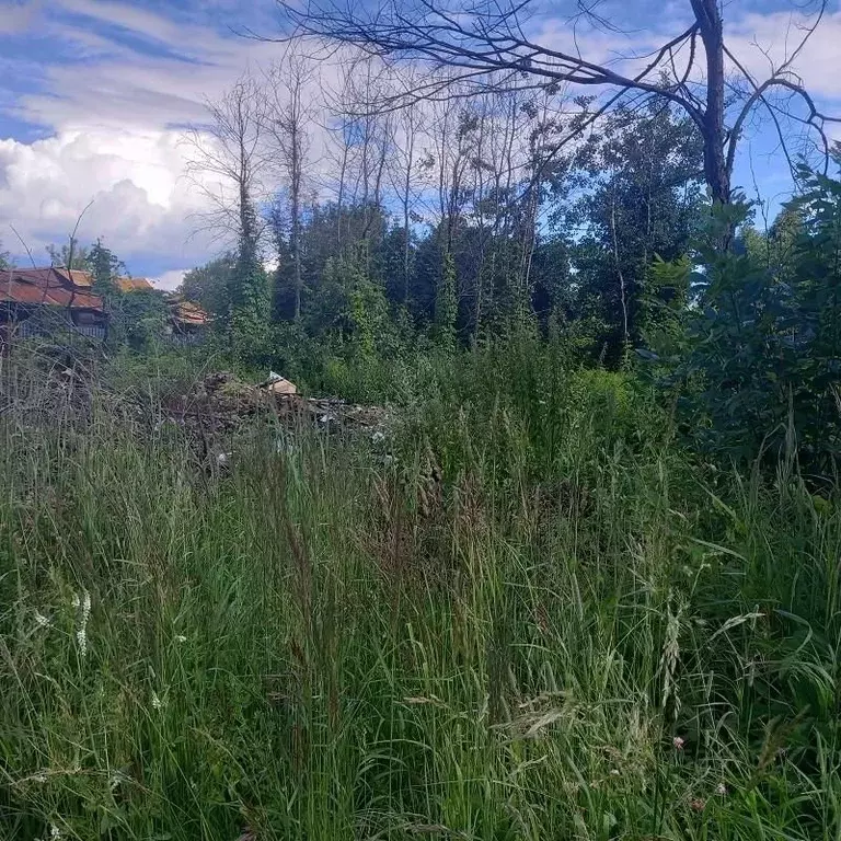 Участок в Владимирская область, Покров ул. Ленина, 133 (7.8 сот.) - Фото 2