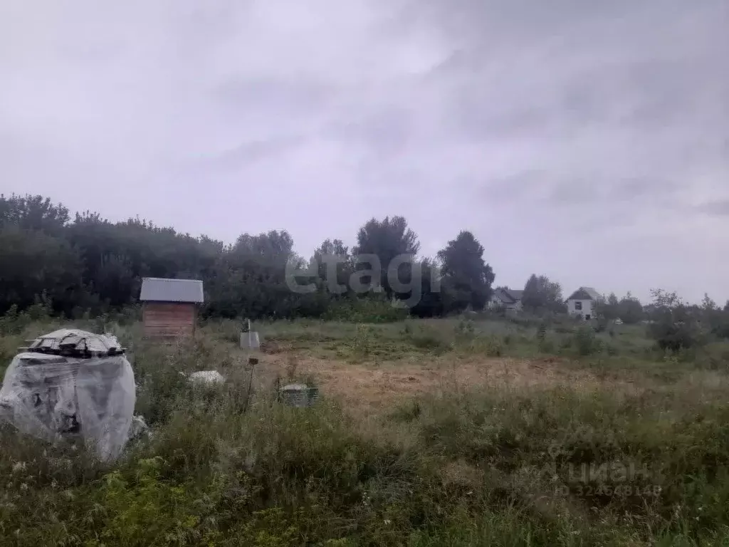 Участок в Алтайский край, Барнаул городской округ, пос. Бельмесево  ... - Фото 2