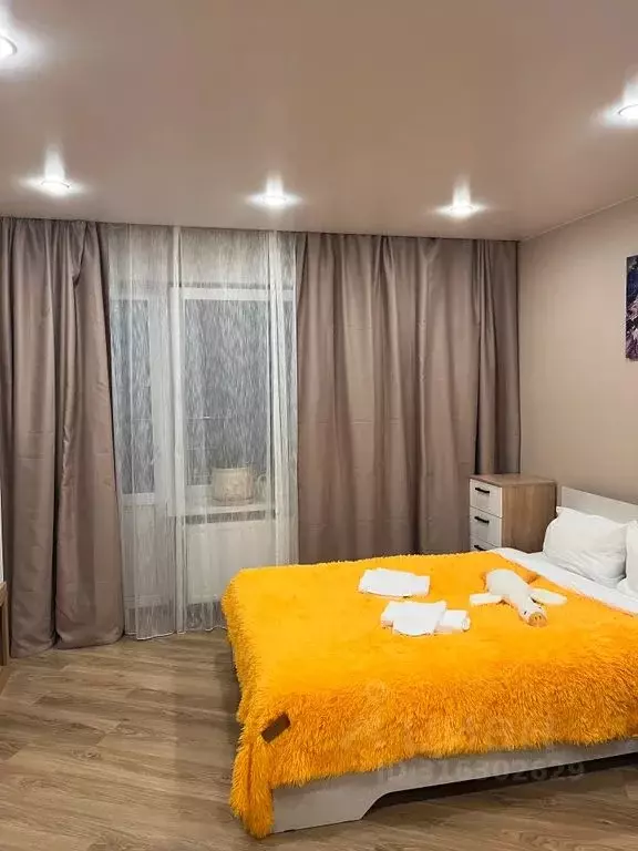 Студия Карелия, Петрозаводск ул. Белинского, 15В (27.0 м) - Фото 0