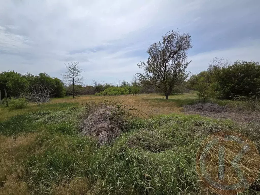 Участок в Крым, Сакский район, Митяевское с/пос, Эскулап СНТ  (5.0 ... - Фото 2