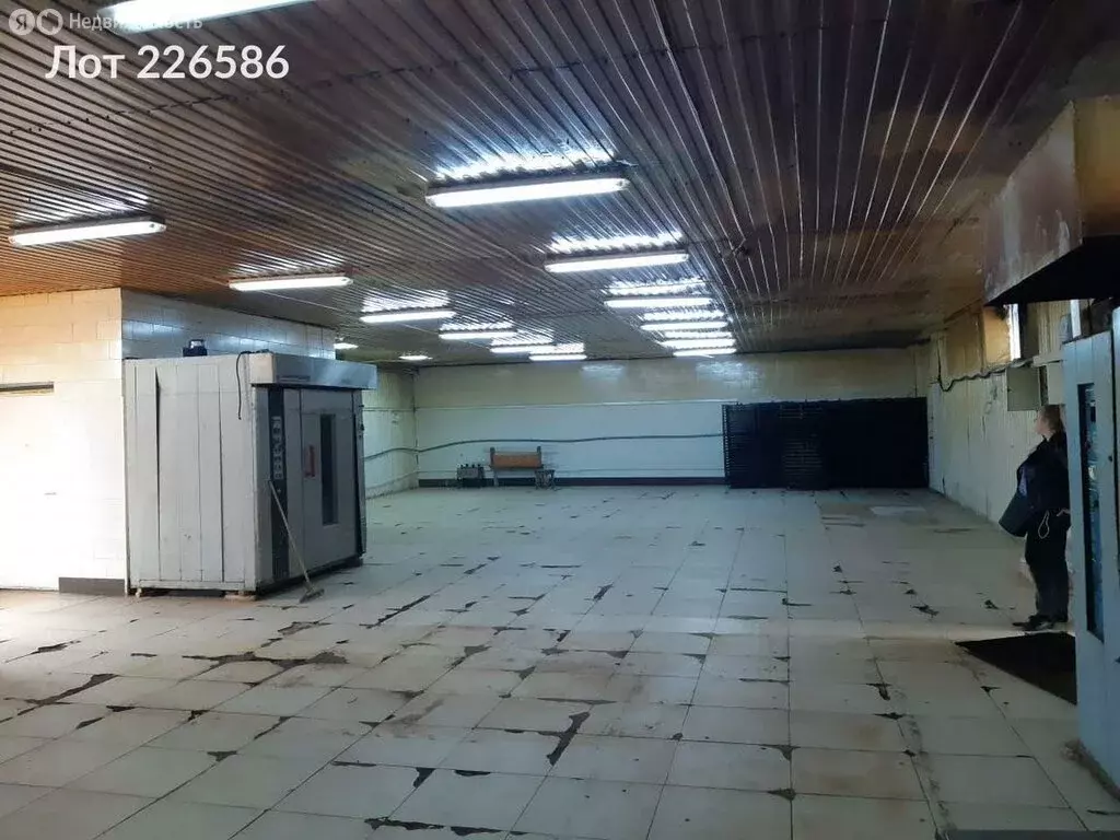 Помещение свободного назначения (300 м) - Фото 1
