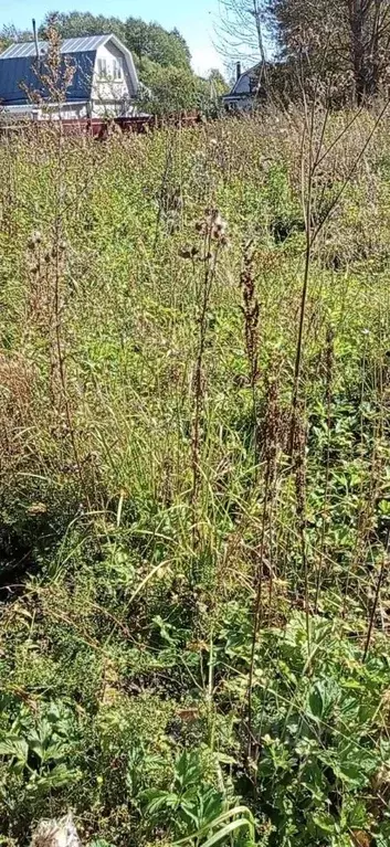 Участок в Московская область, Орехово-Зуевский городской округ, д. ... - Фото 1