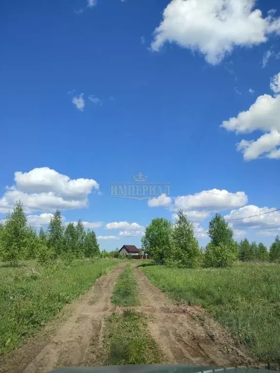 Участок в Марий Эл, Йошкар-Ола городской округ, д. Шоя-Кузнецово ул. ... - Фото 2