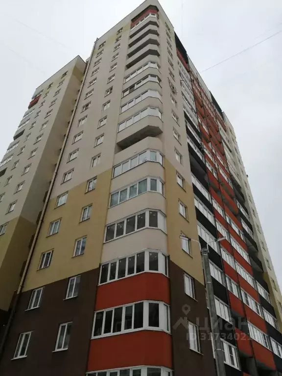 Студия Владимирская область, Владимир ул. Нижняя Дуброва, 47к3 (35.0 ... - Фото 0