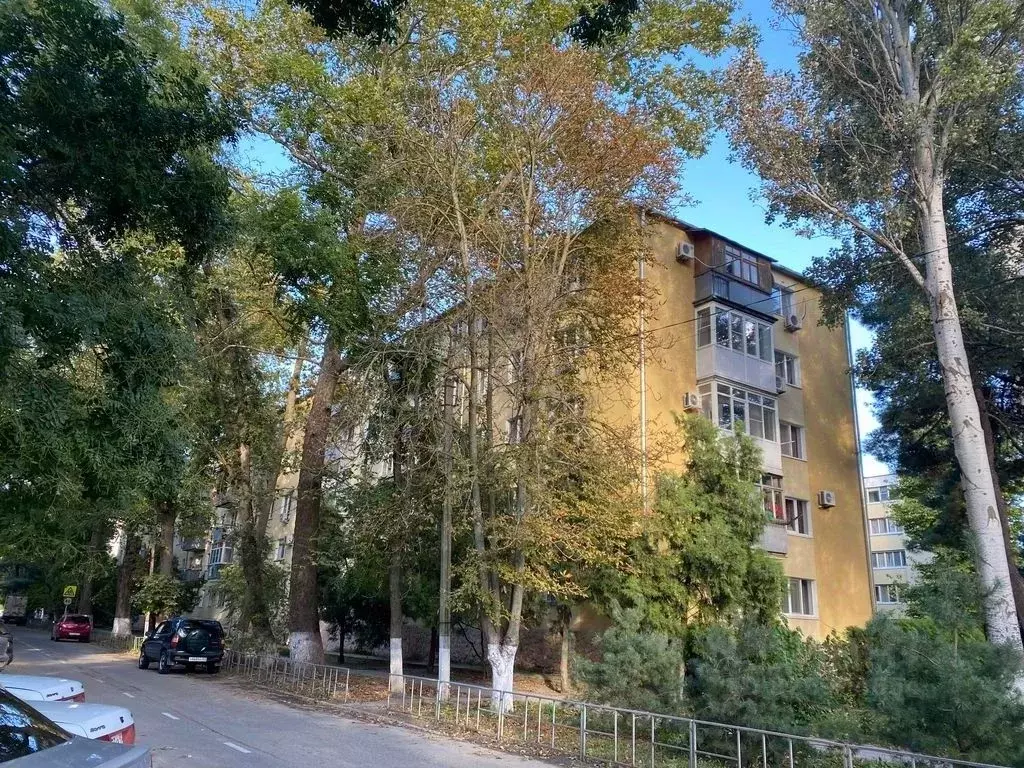 Свободной планировки кв. Краснодарский край, Анапа ул. Протапова, 60 ... - Фото 2