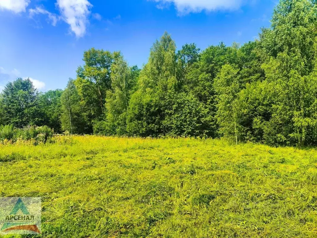 Участок в Ярославская область, Переславль-Залесский Московская ул. ... - Фото 1