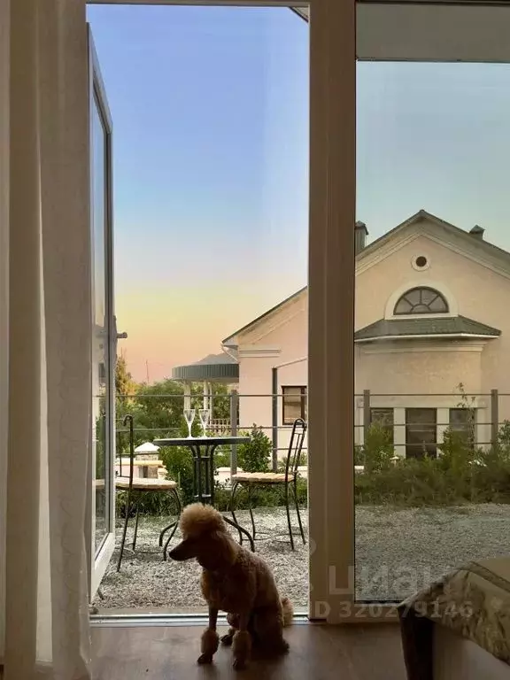 1-к кв. Крым, Феодосия муниципальный округ, Коктебель пгт ул. ... - Фото 2