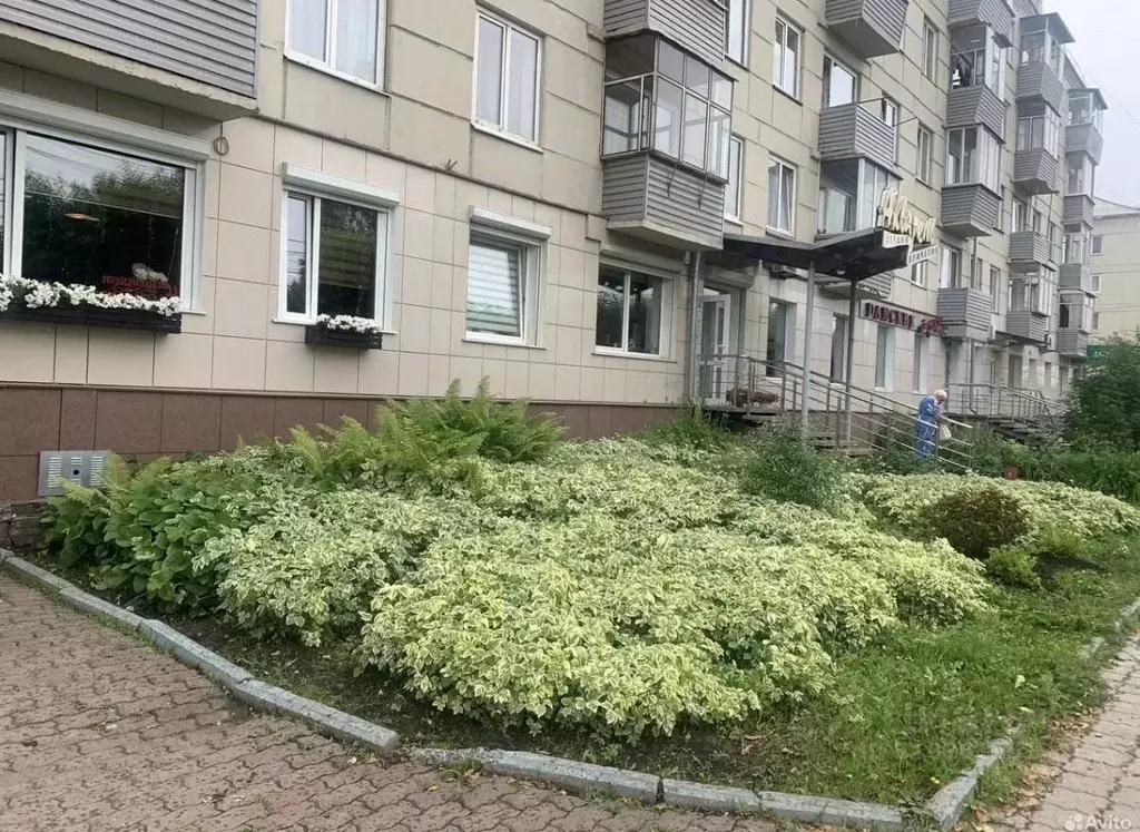 Офис в Красноярский край, Красноярск Свободный просп., 50 (88 м) - Фото 1