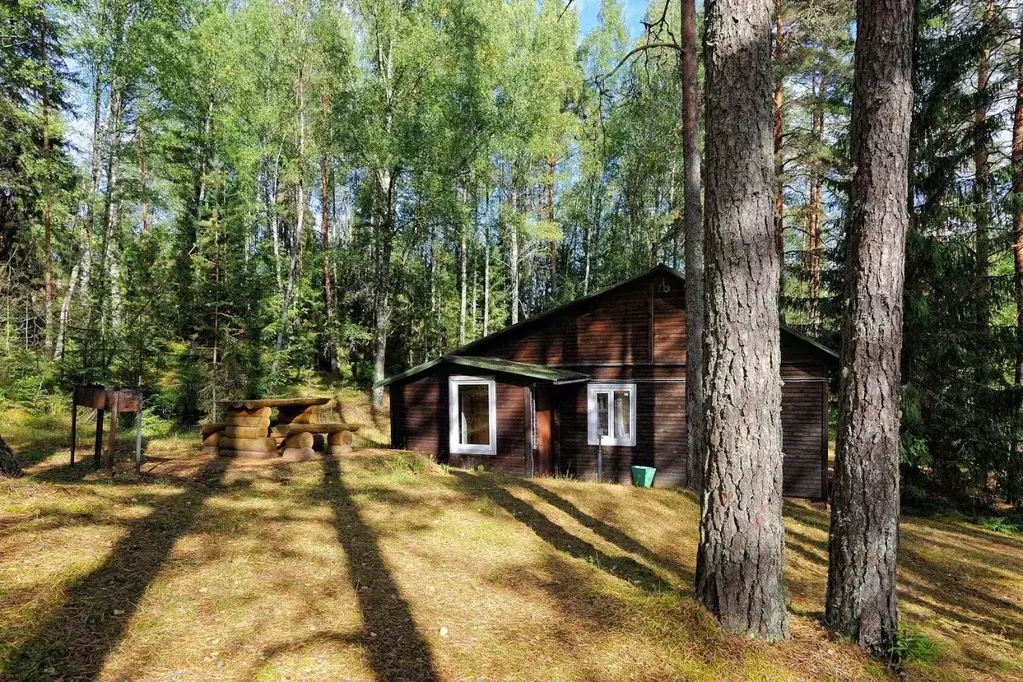 Дом в Ленинградская область, Лужский район, Толмачевское городское ... - Фото 0