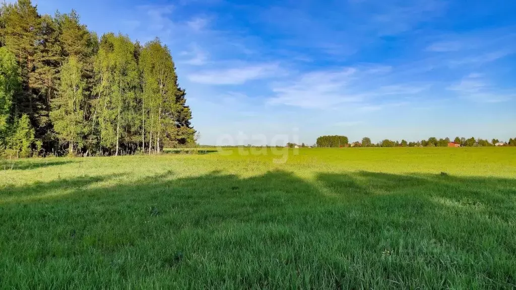 Участок в Ярославская область, Ярославский муниципальный округ, ... - Фото 1