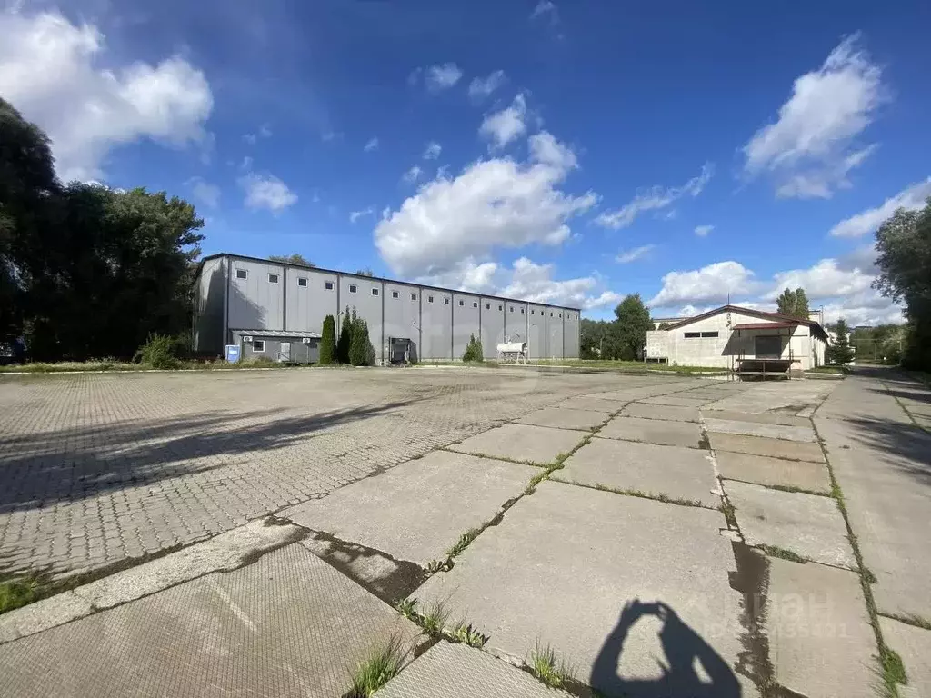 Склад в Калининградская область, Калининград ул. Каштановая Аллея, 1А ... - Фото 1